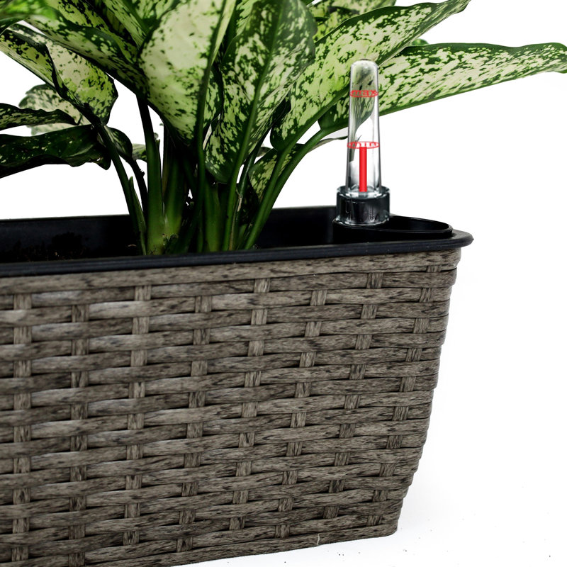 Self-Watering Rectangular Planter 2 - Dark Gray Plant Pot Enhance Garden Appeal