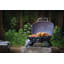 Barbecue au gaz Napoleon TravelQ ™ Napoleon-56804816