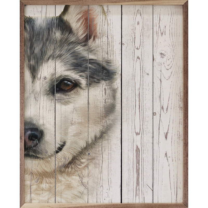 Sled Dog Portrait, H 10 po x l 8 po