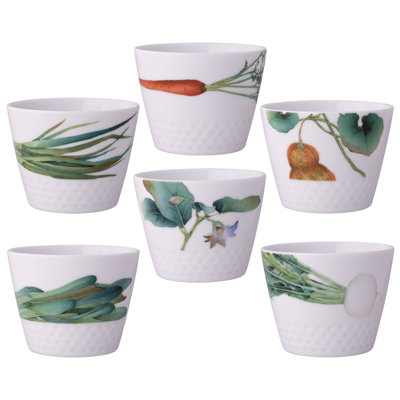 Ensemble de 6 tasses japonaises assorties Noritake Kyoka Shunsai, 3,5 po, 7 oz.