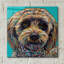 «Blue Doodle Brother 2» par Carolee Vitaletti-117210929