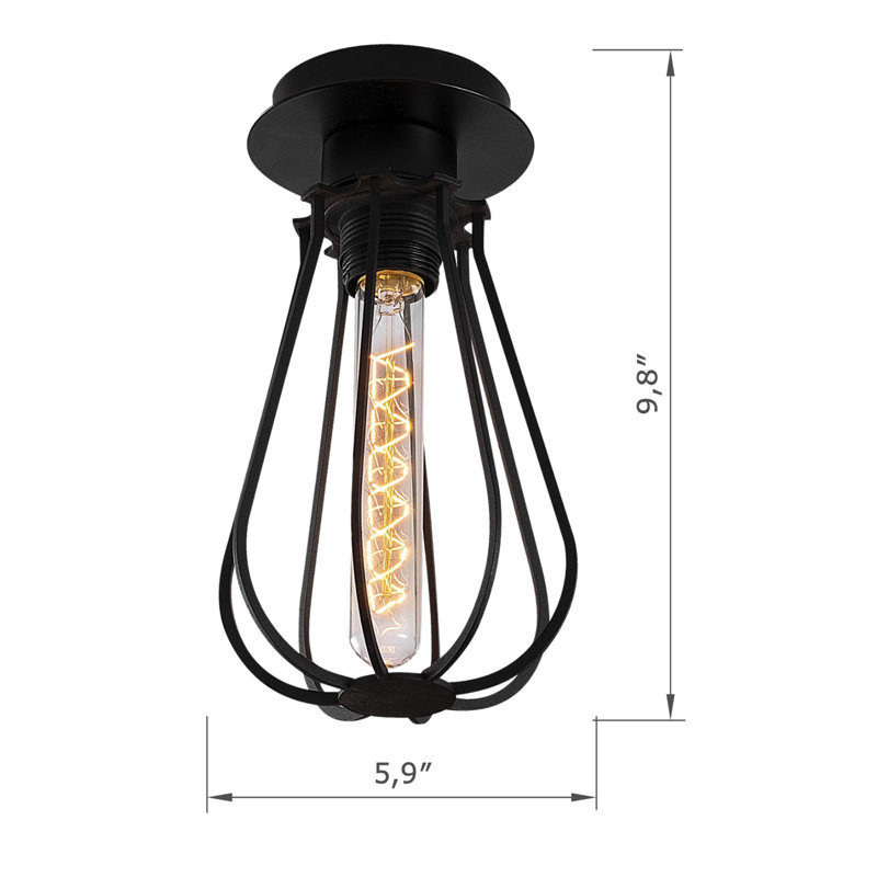 Metal Body Cage Flush Mount