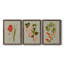 «Botanical Array IV», ensemble de 3 reproductions d'art sur toile-908556574-908556545