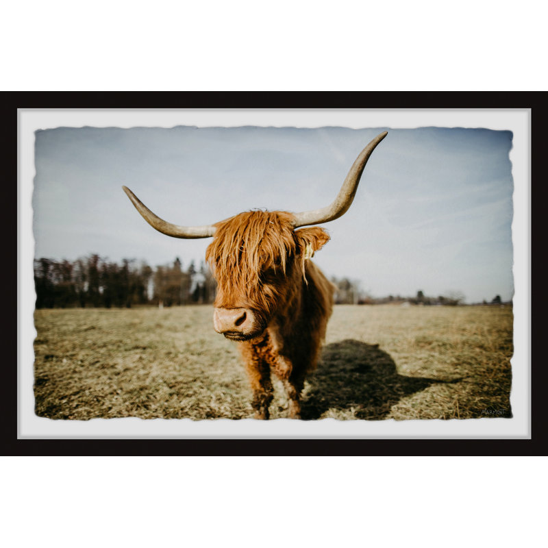 Wide Horns - Single Picture Frame Print, 38cm H x 45cm W x 3.81cm D