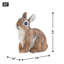 STATUE DE BUNNY JARDIN ASSIS
