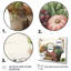 Fruit in Basket III - Lake House, art mural-87045655-87045659