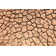 Parched Soil During The Drought by Luchschen - Wrapped Canvas Print