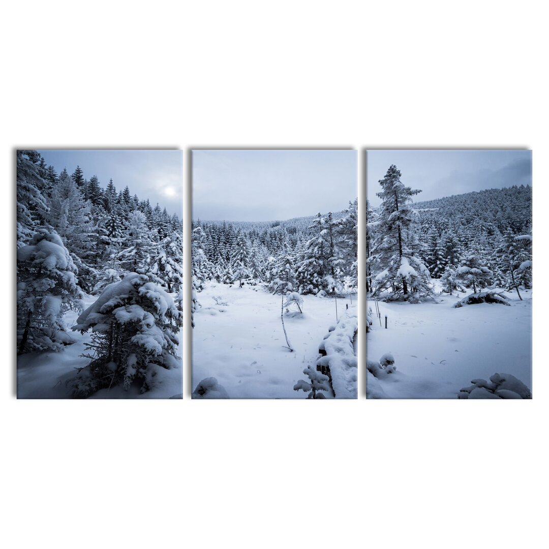 3-tlg. Leinwandbilder-Set Winter Landscape Frozen Lake