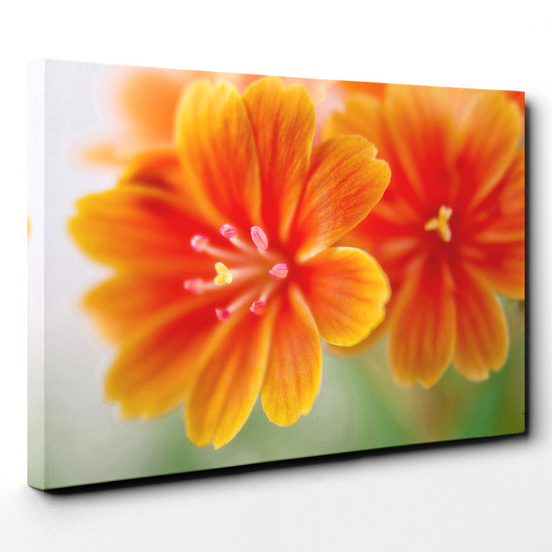Wrapped Canvas Print, 35cm H x 50cm W