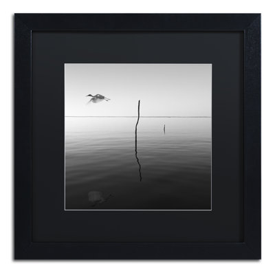 " Fly " by Moises Levy