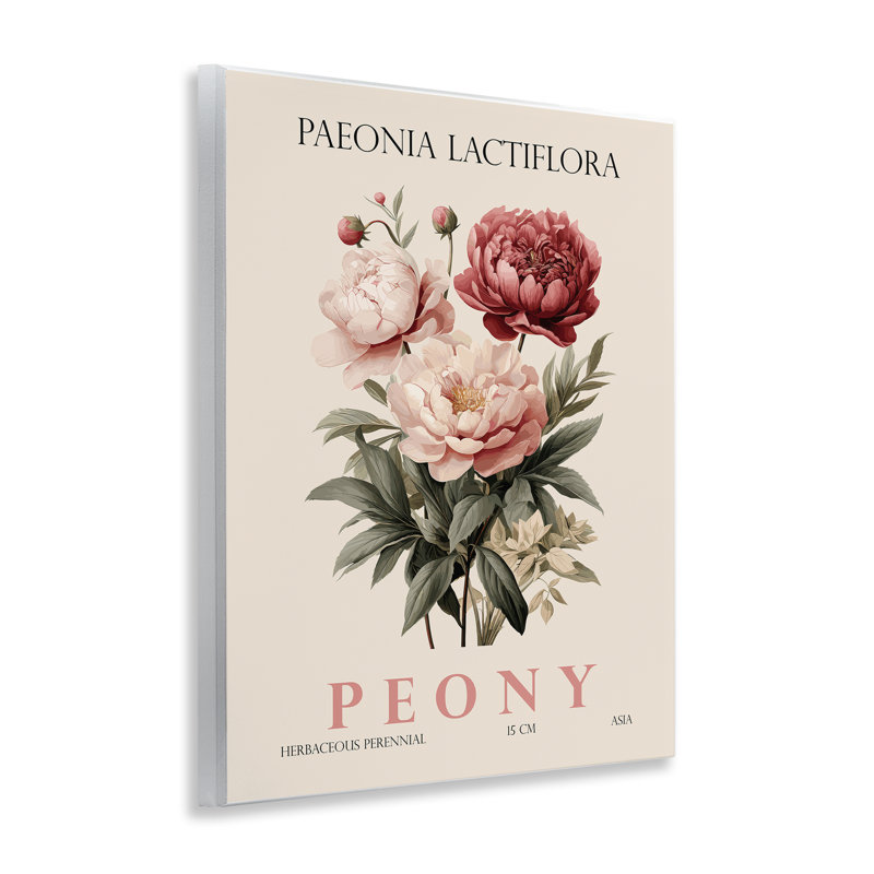 Plaque murale avec pivoines naturelles, design par Christopher Giampietro