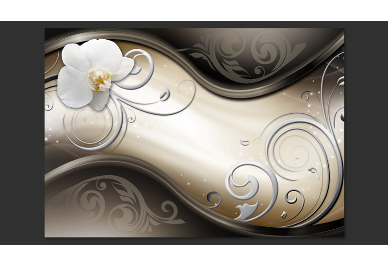 This Right Way 2.80m x 400cm Wallpaper, 300 cm x 210 cm