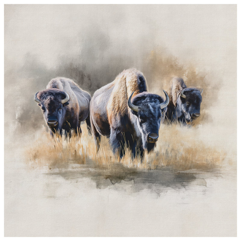 Housses de couette Bison In Grassland, Très grand lit