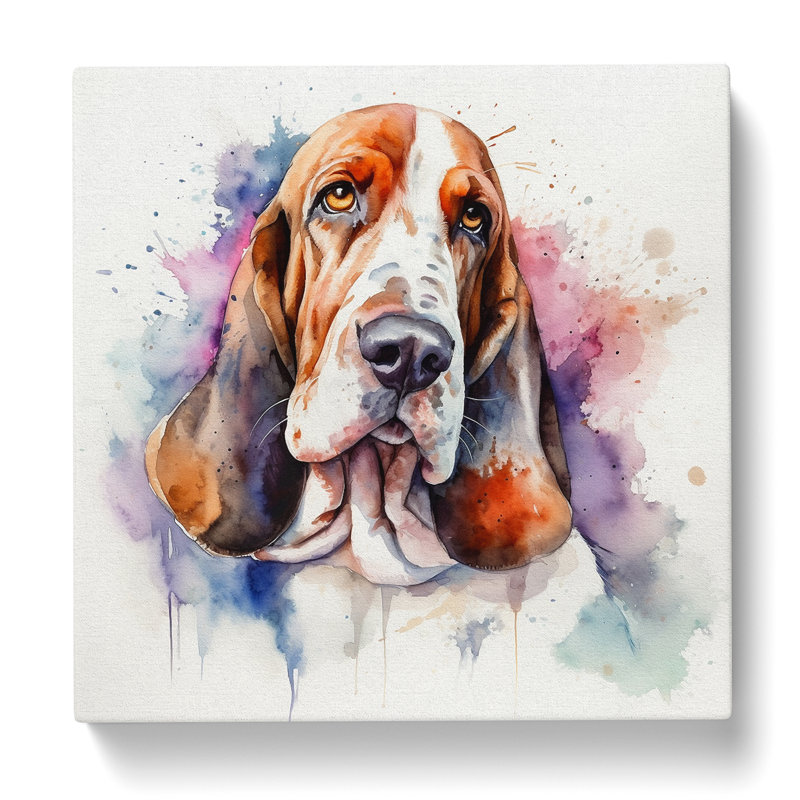 Basset Hound Watercolour No.2 - Wrapped Canvas, 35cm H x 35cm W x 3cm D