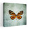 Art français de papillon contemporain français