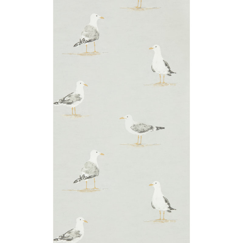 Shore Birds