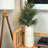 Arrangement