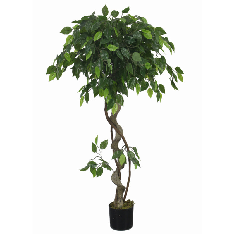 Anivea 120cm Faux Ficus Tree in Pot