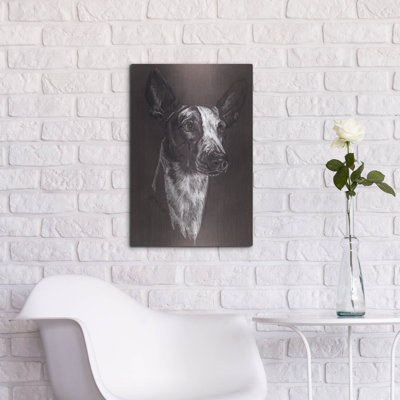 " Ibizan Hound " by Barbara Keith