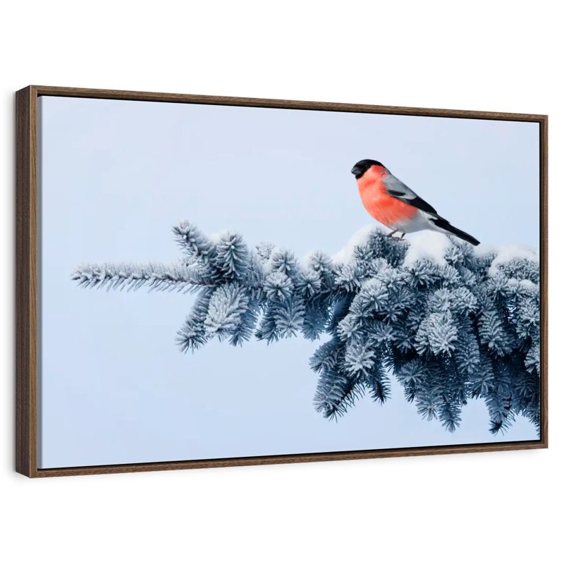 Bouvreuil sur une épinette festive, 46 po x 31 po, Cadre flottant noyer