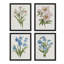 «Daisy Magnolia Floral», ensemble de 4 impressions murales bleues et roses vives encadrées sur papier, impression de 4 pièces-93011829-93011832