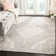 Chenault Performance Oriental Rug