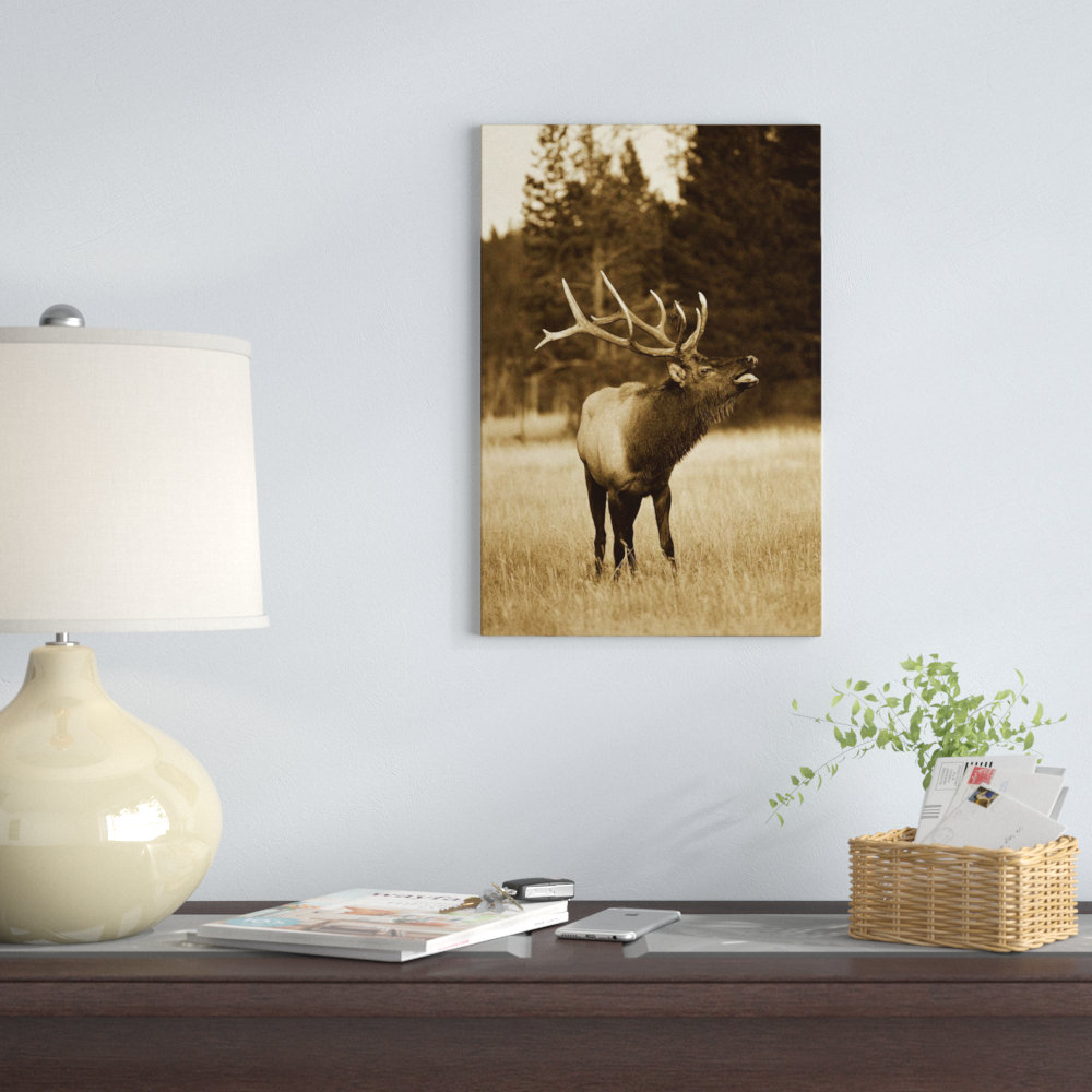 'Elk Male Bugling During Rut, Autumn, Yellowstone National Park, Wyoming' Photographic Print on Wrapped Canvas East Urban Home 
