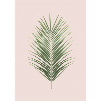 Palm Leaf