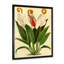 Fleurs rétro I - reproduction d'art sur toile-59650230-59650234