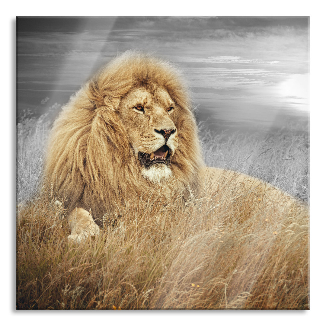 Glasbild Might Lion