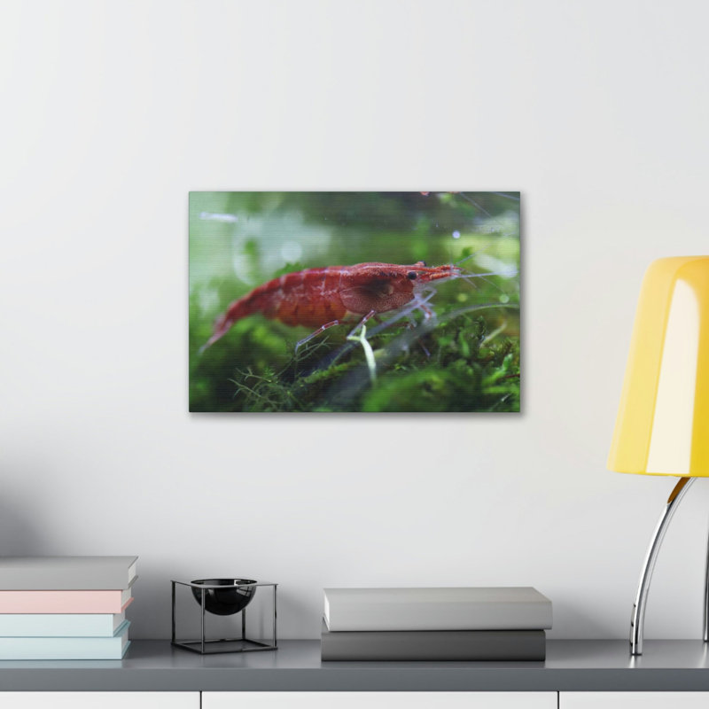 No Frame Print on Canvas