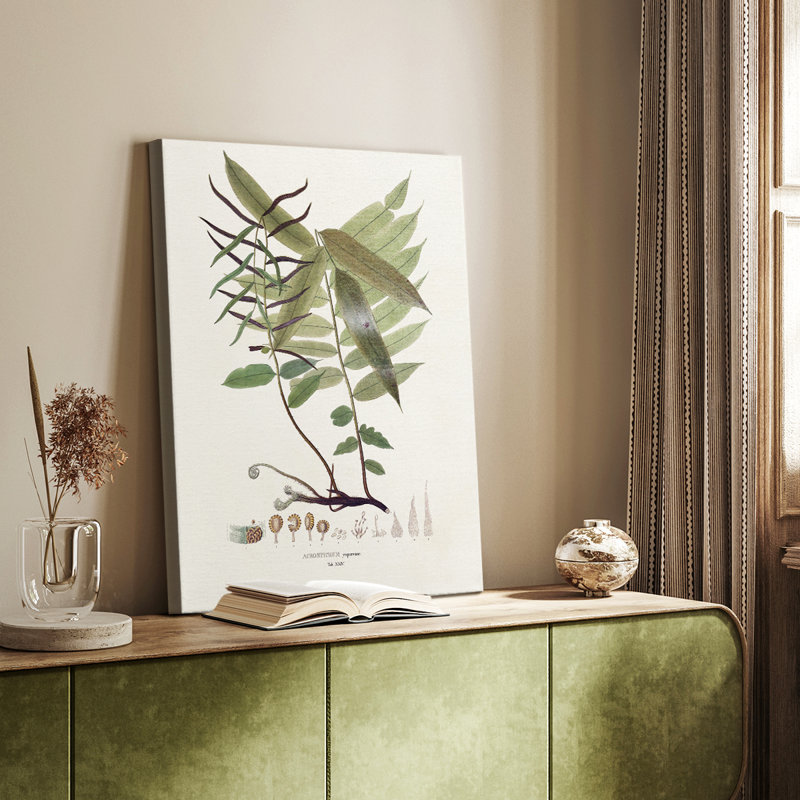 Botanical Society Ferns VI - Galerie Cavas sur mesure, H 18 po x l 12 po