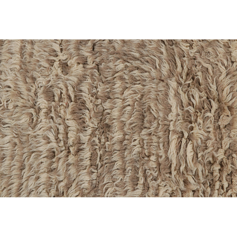 Hand Knotted Wool Rug
