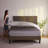 1800 Series Double-Brushed Microfiber Hypoallergenic Sheet Set-22057763-22057769