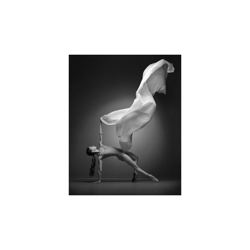 Wrapped Canvas Print, 50.8 cm H x 76.2 cm W