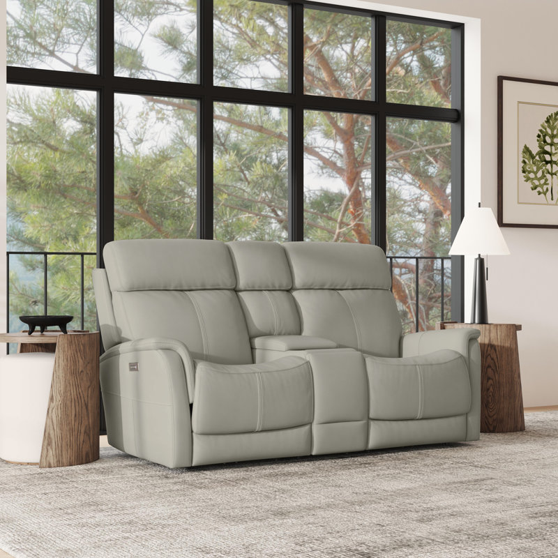Panorama Reclining Loveseat With Console, Power Headrests & Lumbar, Dove Gray