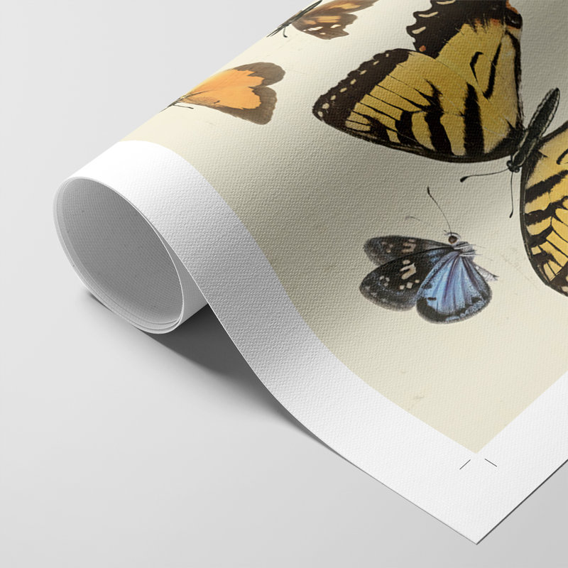 «Collection Flutter I», impression sur toile seulement - non encadrée, H 27 po x l 18 po