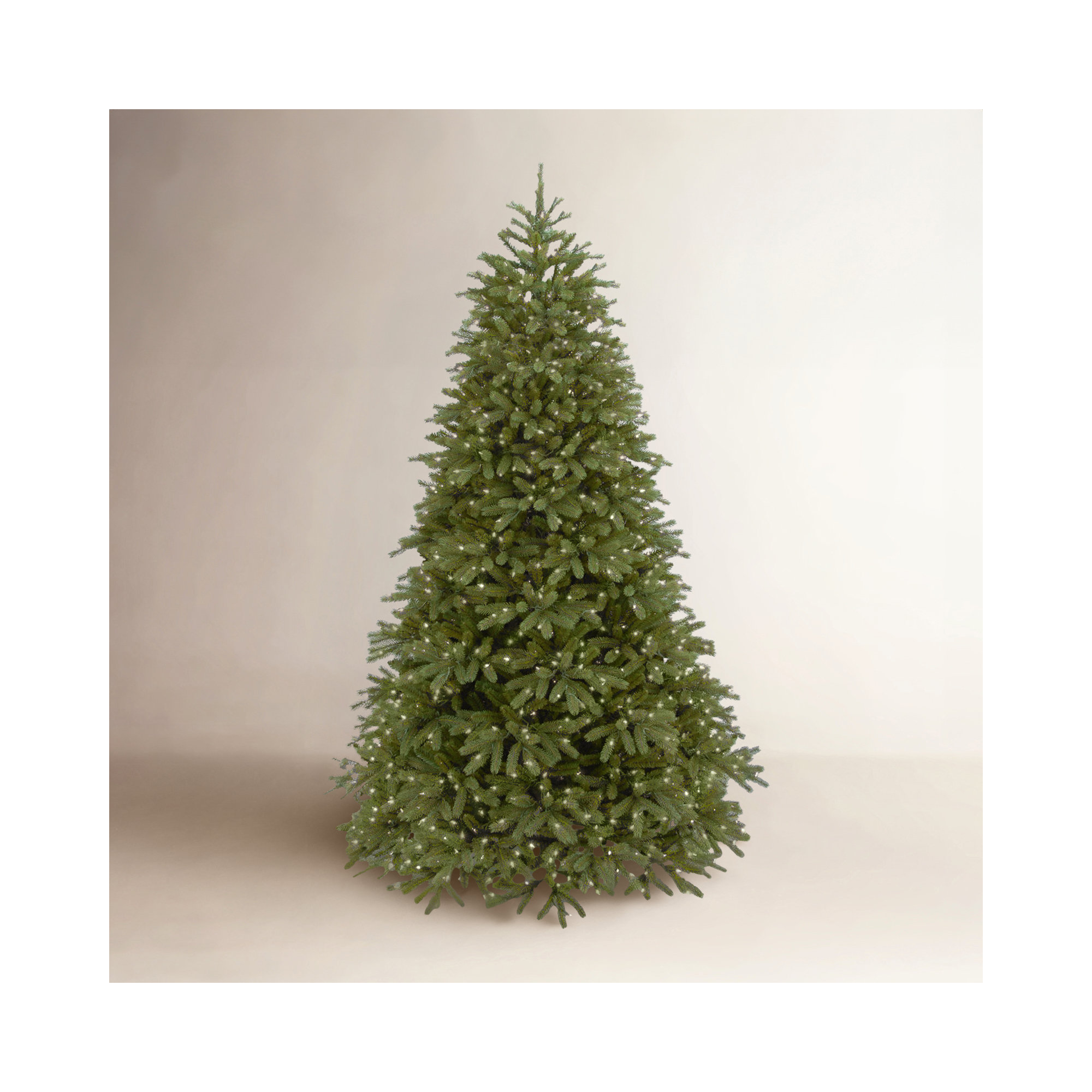 Jersey Fraser Fir Medium Tree with Dual Color LED Lights, 7.5'
