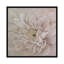 « prettiness », impression sur toile-31853713-73197428-73197429