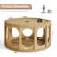Table basse 31,5 "moderne avec rangement ouvert
