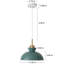 Luminaire suspendu simple à 1 lumière Gibran-1311763494