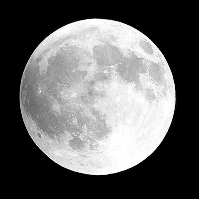 «Moon Phase I», reproduction d'affiche par Gail Peck (24 x 24) # 10705A