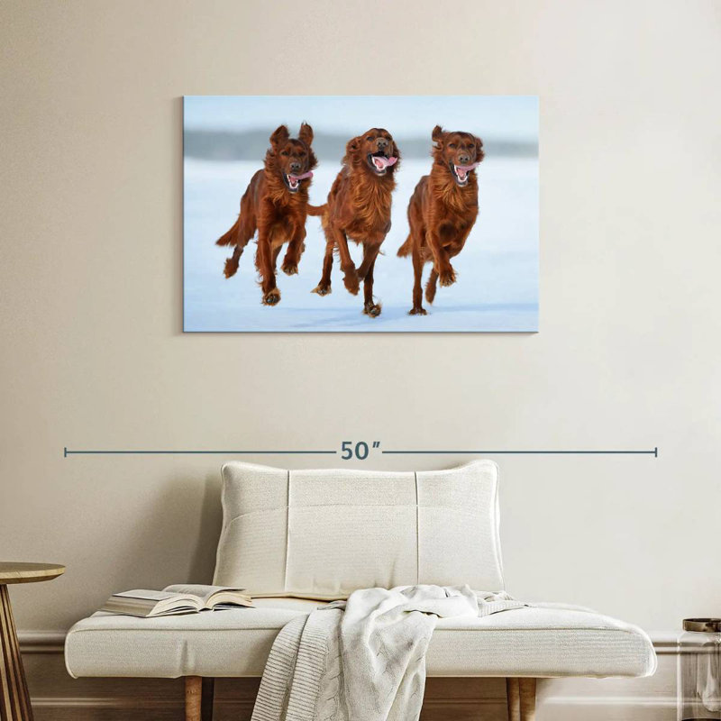 Running Irish Setters, 24" H x 36" W