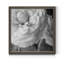 Renoncule foncé II - cadre photo-997338826-997390543-997390534