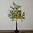 3ft. Lighted Artificial Cypress Tree with 120 Warm White LED Lights