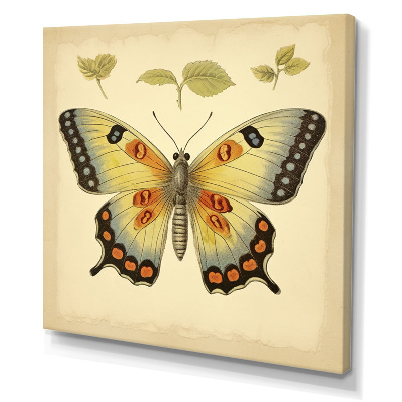 Illustration rétro d'un papillon élégant, H 30 po x l 30 po x P 1 po, Toile tendue