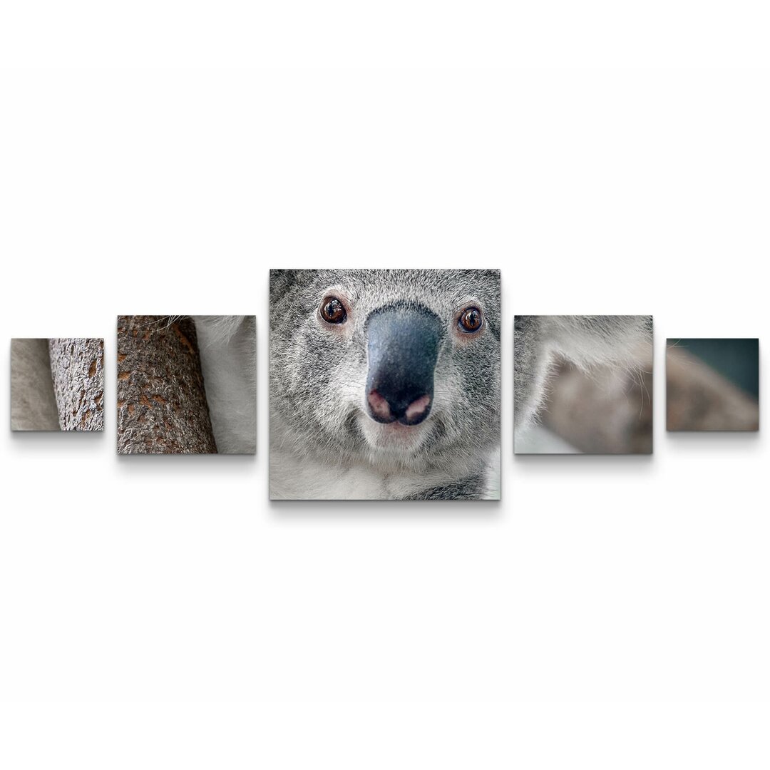 5-tlg. Leinwandbilder-Set Koala Bär