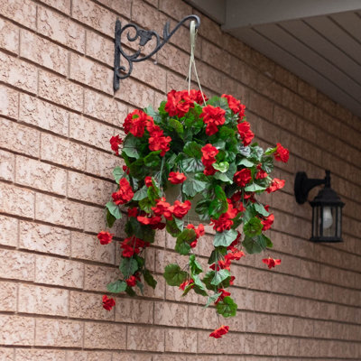 Geranium floral dans un panier