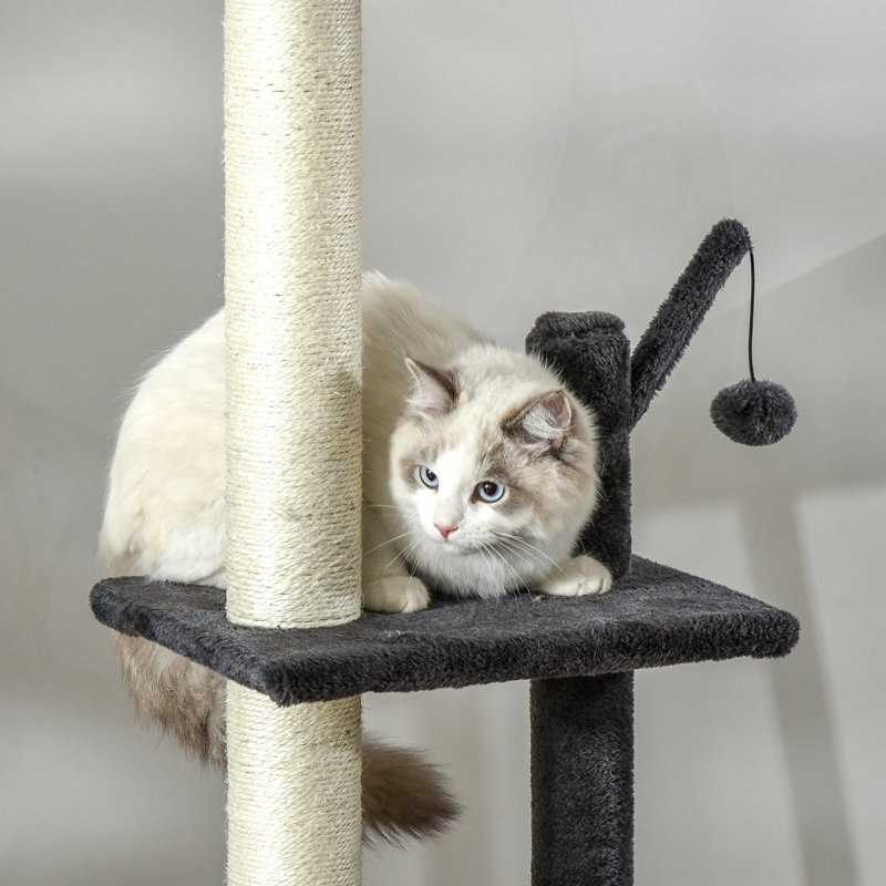 Jouet pour chat 106 po