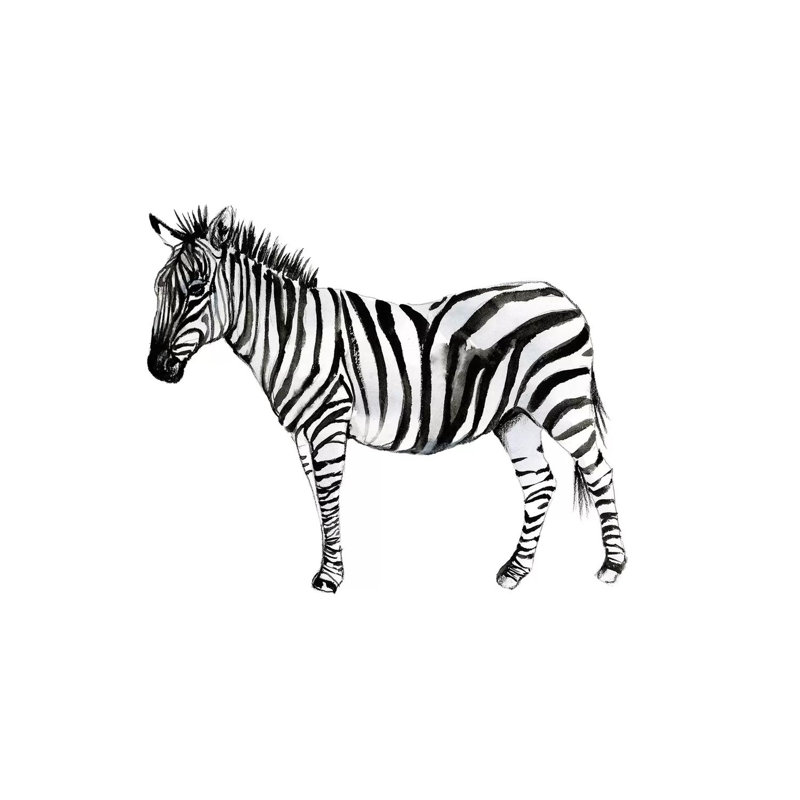 Standing Zebra II by Jennifer Goldberger - Wrapped Canvas Gallery-Wrapped Canvas Giclée, 20.32 cm H x 30.48 cm W